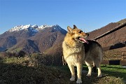 13 Il Resegone , salito, poco tempo fa, mi fa da sfondo